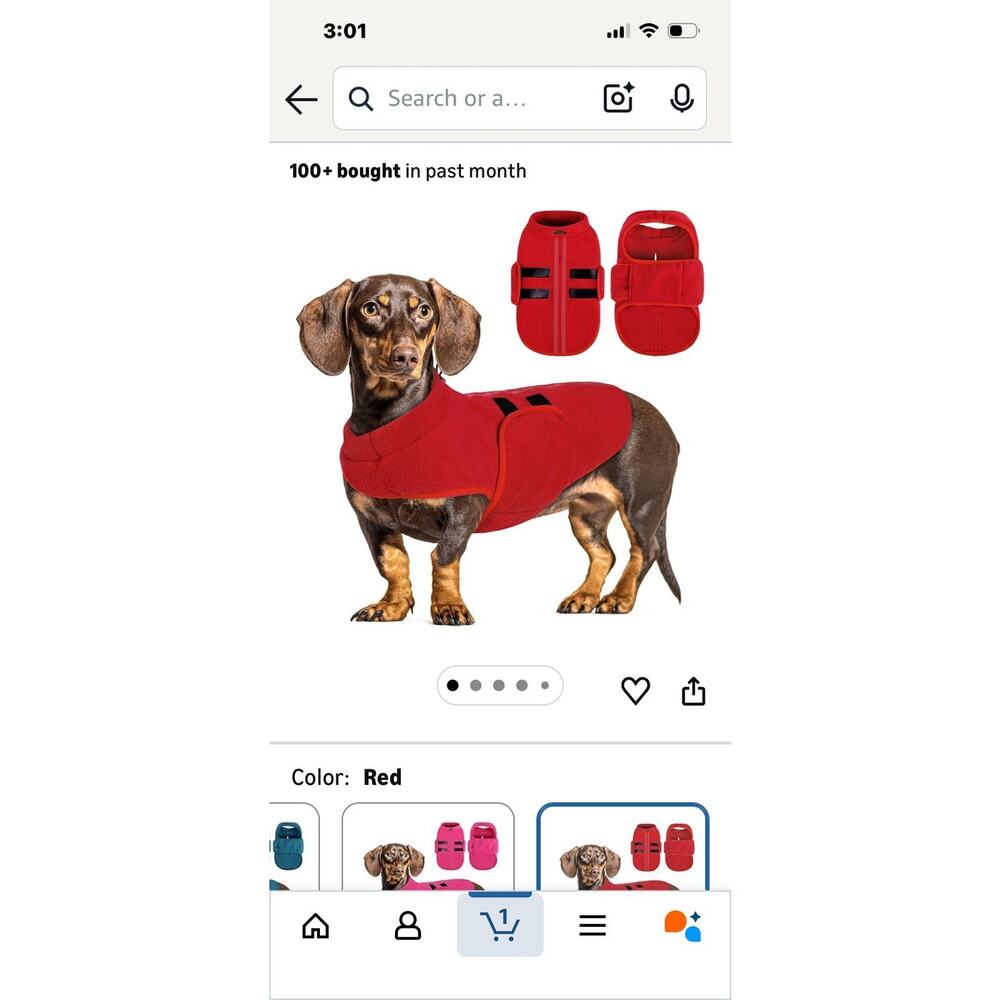Queenmore Dog Jacket Small – Warm Fleece Winter Coat with Leash Hole Red - Large
